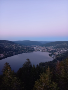 Thérapie PNL Vosges
