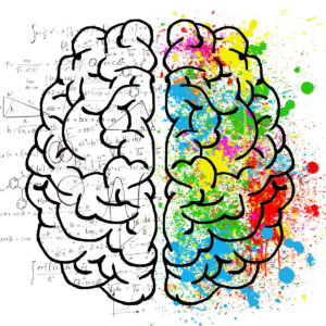 Sexualité et Cerveau